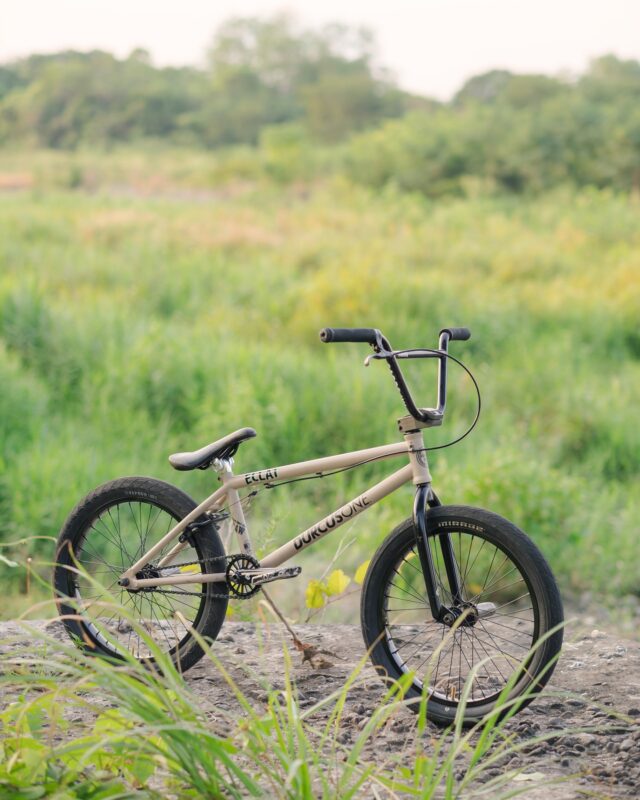 自転車本体 BMX theory THEORY セオリー - BMX専門のZEN DISTRIBUTION - ストリート